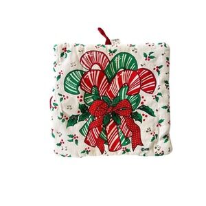 VTG Christmas Candy Cane Holly Berry Potholder Oven Mitt Kitchen Decor